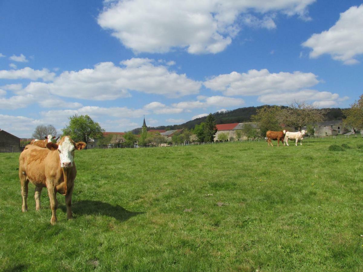 La Taniere Douce Bed and Breakfast Soulaucourt-sur-Mouzon Buitenkant foto